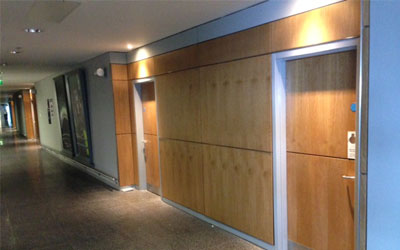 Image Caption
